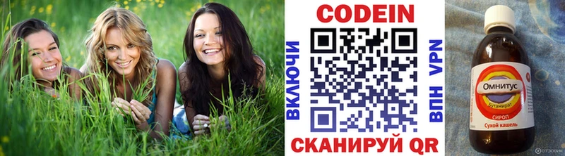 Кодеиновый сироп Lean Purple Drank  Гдов 