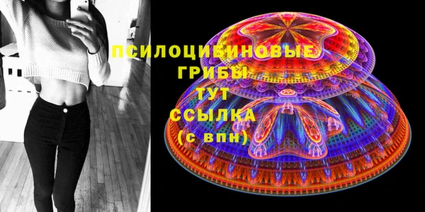эйфоретик Алзамай