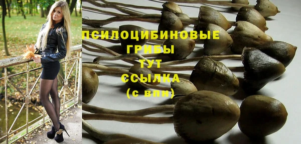 эйфоретик Алексин